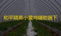 和平精英小黄鸡辅助器下载免root软件